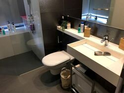 The Trizon (D10), Condominium #467800841